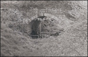 Tramways walk through Calke Abbey grounds, 1980.   