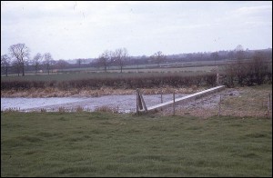 Old cut end, Snarestone.       